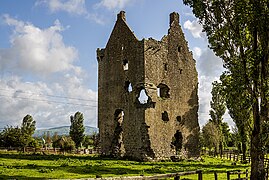 Castles of Munster, Kilduff, Limerick - revisited (2) - geograph.org.uk - 6276702.jpg