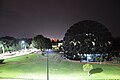 Central Library from Guest House