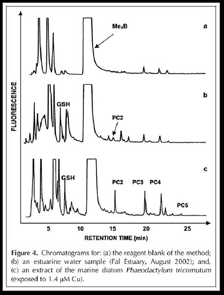 File:Chromatogramme.jpg