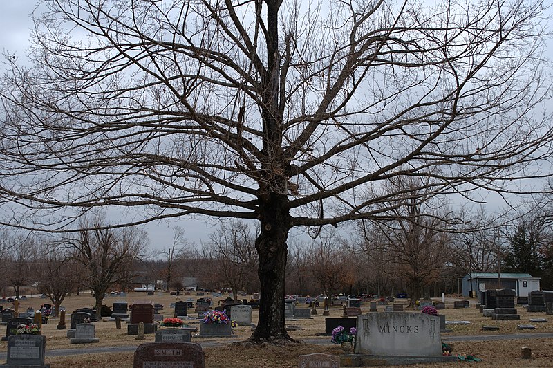 File:Clear Creek Cemetery - panoramio.jpg