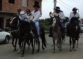 Image illustrative de l’article Cheval en Bolivie
