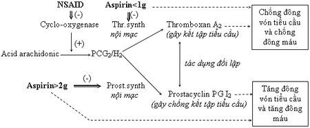 Tập tin:Co che td chong ngung ket tieu cau cua Aspirin.PNG