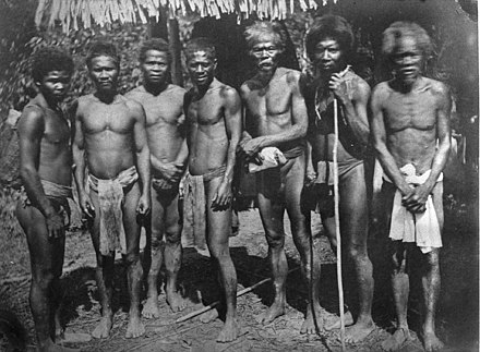 Orang Asli from the Senoi group, Perak, c. 1880–1881[56]