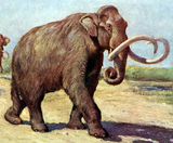 Painting of a family of mammoths walking