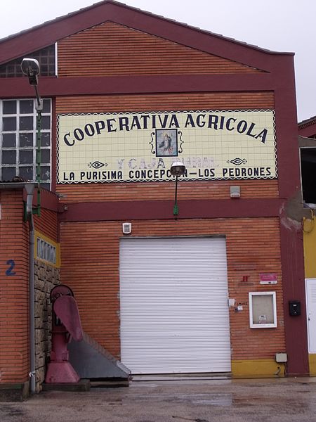 File:Cooperativa agrícola la Purísima Concepción. Los Pedrones 04.jpg