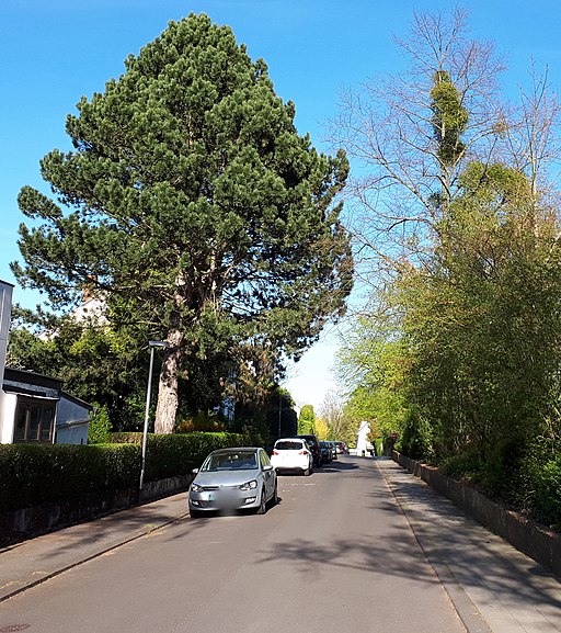 Coudenhovestraße, Aachen