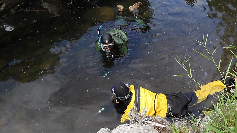 File:Counting Fish on the Salmon River (15014815129).jpg