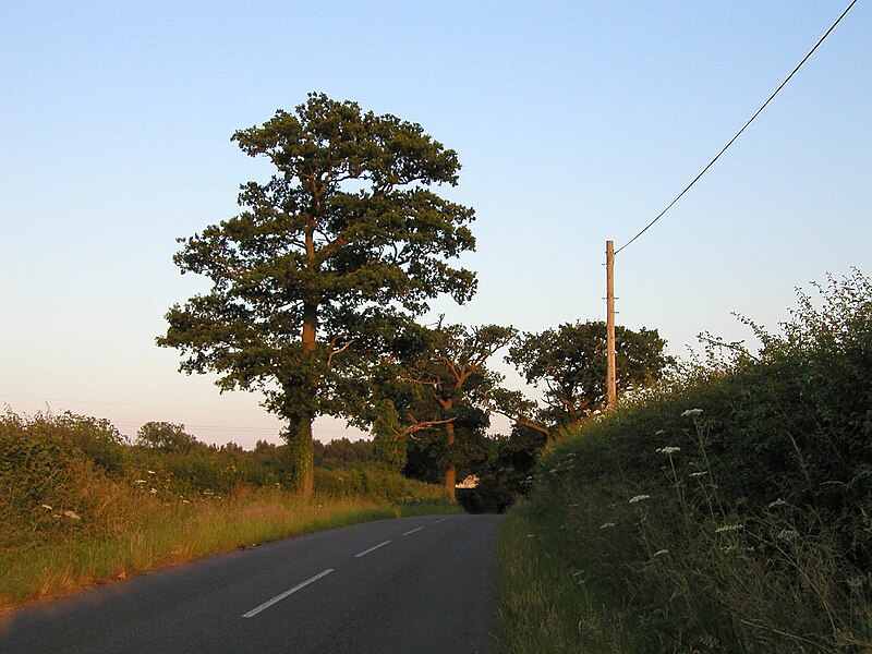 File:Country Road (300846577).jpg