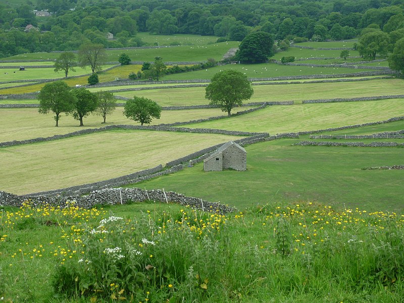 File:Cove Lathe - geograph.org.uk - 3525577.jpg