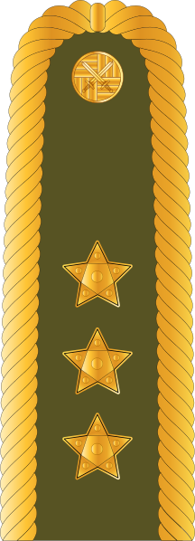 File:CzArmy 2011 OF8-Generalporucik shoulder.svg