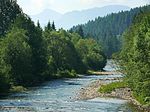 Czarny Dunajec (river)