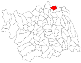 Location in Bacău County