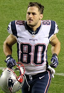 Danny Amendola 2017.JPG