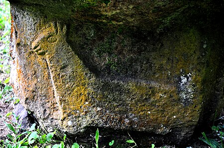 Dog relief from meʻae Iʻipona, Puamaʻu Village, Hiva Oa, Marquesas Islands, photograph by Moth Clark, 2009 (levels adjusted).jpg