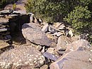 Dolmen Mas Girarols II.JPG