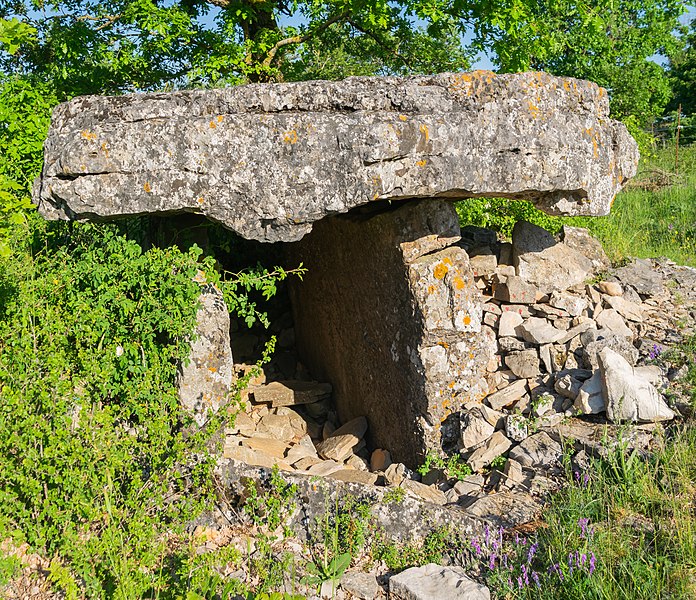 File:Dolmen de la Fabiere 09.jpg