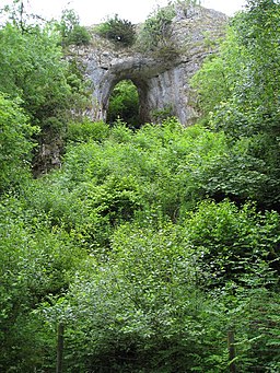 Dovedale - Reynard's Cave - geograph.org.uk - 861741