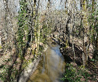 La Duche au pont de la RD 41, en limite de Servanches (à gauche) et d'Échourgnac.