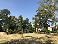 Ansicht des Bergfriedhofs mit Blick Richtung Rödgener Straße (2021)