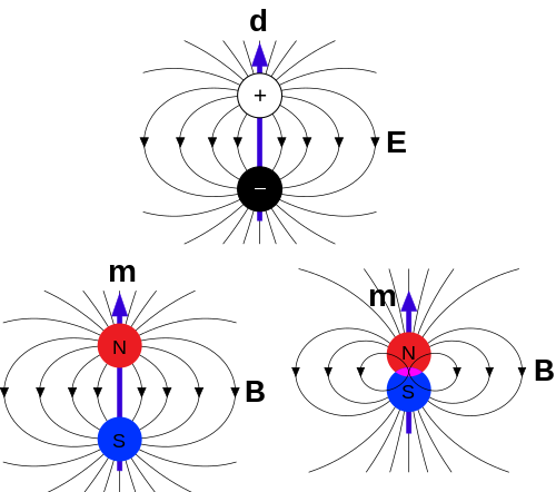 The E fields and B fields due to electric charges (black/white) and magnetic poles (red/blue).[13][14] Top: E field due to an electric dipole moment d. Bottom left: B field due to a mathematical magnetic dipole m formed by two magnetic monopoles. Bottom right: B field due to a pure magnetic dipole moment m found in ordinary matter (not from monopoles).