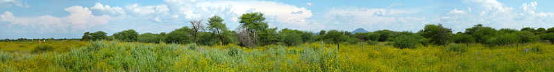 File:Etosha in der Regenzeit.jpg