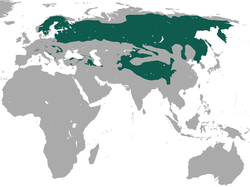 Udbredelsen af eurasisk los