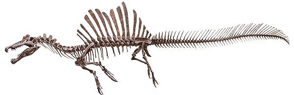 Spinosaurus