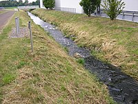 Falk Oberdorf Ronceva Unterlauf2