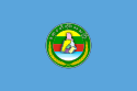 Regione Ayeyarwady – Bandiera