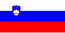 Flag of Slovenia.svg