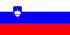 Slovenien - Flagga
