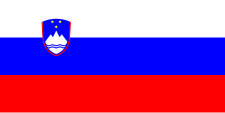 vlag van Slovenië.