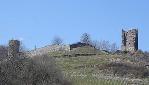 Freudenberg Ruine.jpg