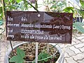 Panneau descriptif en thaï, Jardin botanique de la reine Sirikit, Thaïlande