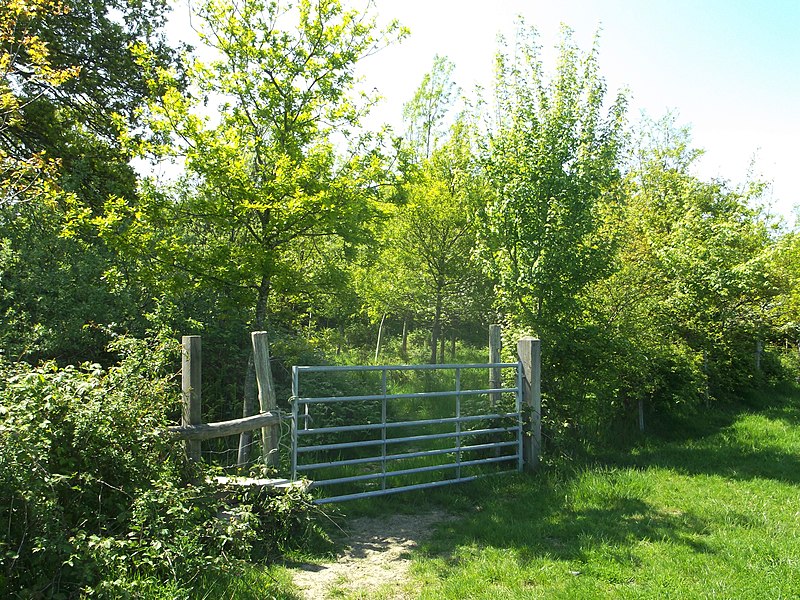 File:Gate and stile into Round Wood - geograph.org.uk - 3486994.jpg