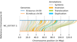 Chromosome by chromosome variation of indicine and taurine cattle. The genomic structural differences on chromosome X between indicine (Bos indicus - Nelore cattle) and taurine cattle (Bos taurus - Hereford cattle) were identified using the SyRI tool. Genomic structural variation.png