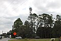 Georgia Forestry tower