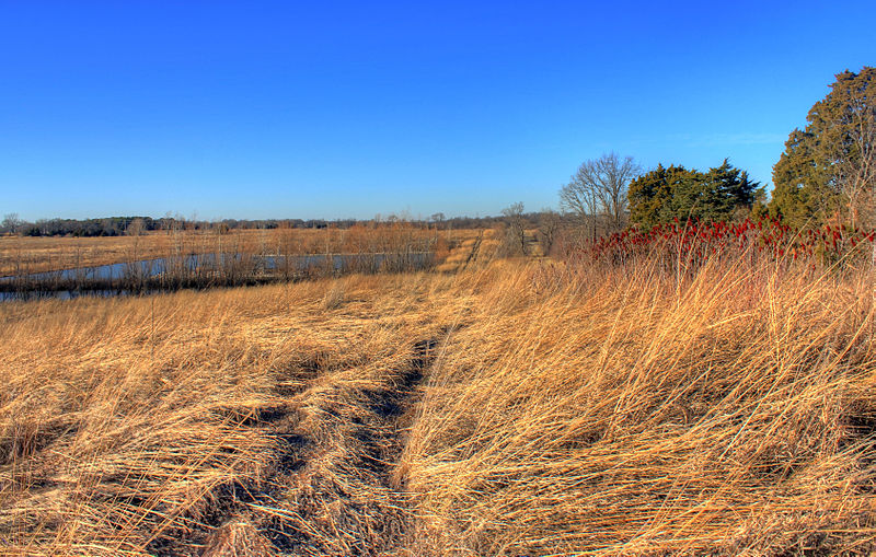 File:Gfp-missouri-weldon-springs-landscape-with-lake.jpg