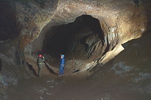 Alderley Edge Mines