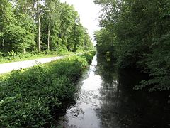 Washington Ditch in Great Dismal Swamp National Wildlife Refuge in 2016