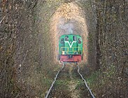 Un tren pasando polo túnel (1).