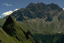 Der begraste Seilhenker mit dem Großen Wilden