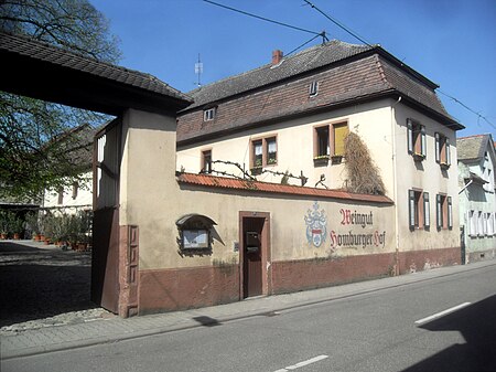 Guntersblum Weingut Rudolf Hill (Homburger Hof) von Alsheimer Straße aus 17.4.2010