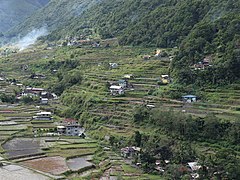 Hapao Rice Terraces paddies