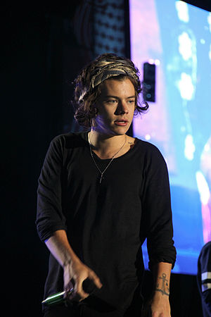 Harry Styles: Biografia, Stile musicale, Attivismo