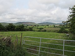 Harvested hayfield on the Kilnasaggart Road - geograph.org.uk - 3014489.jpg