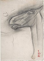 Thumbnail for File:Head of a Horse MET DP805821.jpg