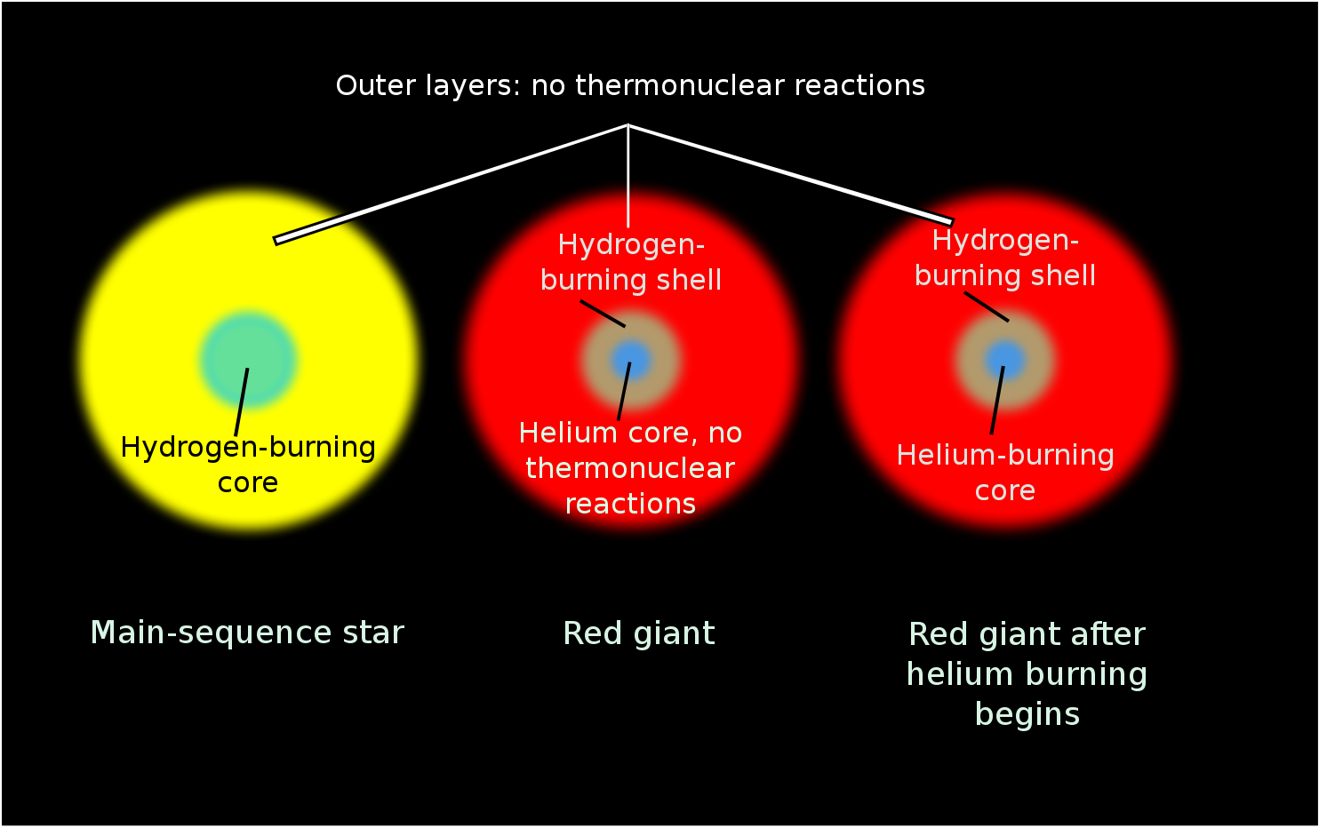 Гелий горит. Строение звезд красных гигантов. Внутреннее строение звезд главной последовательности. Главная последовательность звезд. Красный гигант ядро.