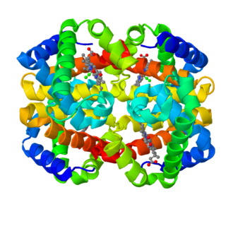 Fetal hemoglobin