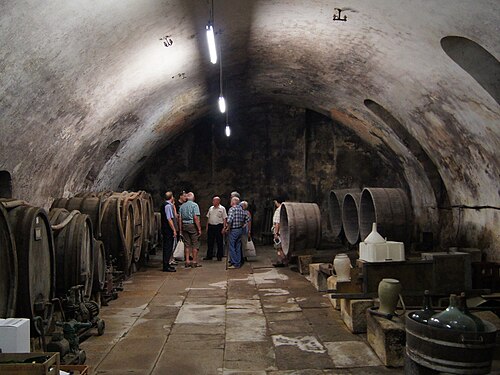 Pfaffenhof 5/7, wine cellar, 18th century